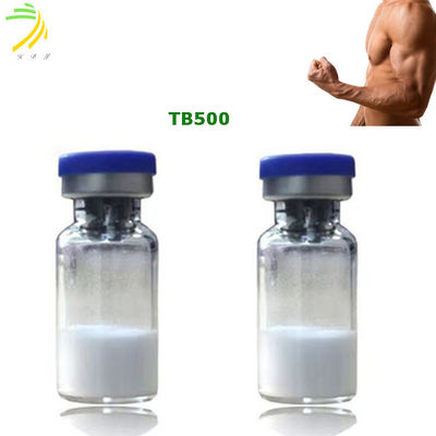 quality थाइमोसिन बीटा 4 बॉडी बिल्डिंग पेप्टाइड्स टीबी 500 99% शुद्धता factory
